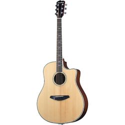 Breedlove Stage Dreadnought