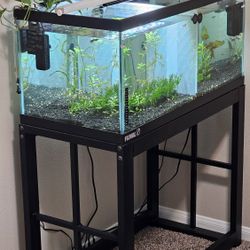 Aquarium with Stand and Everything Needed