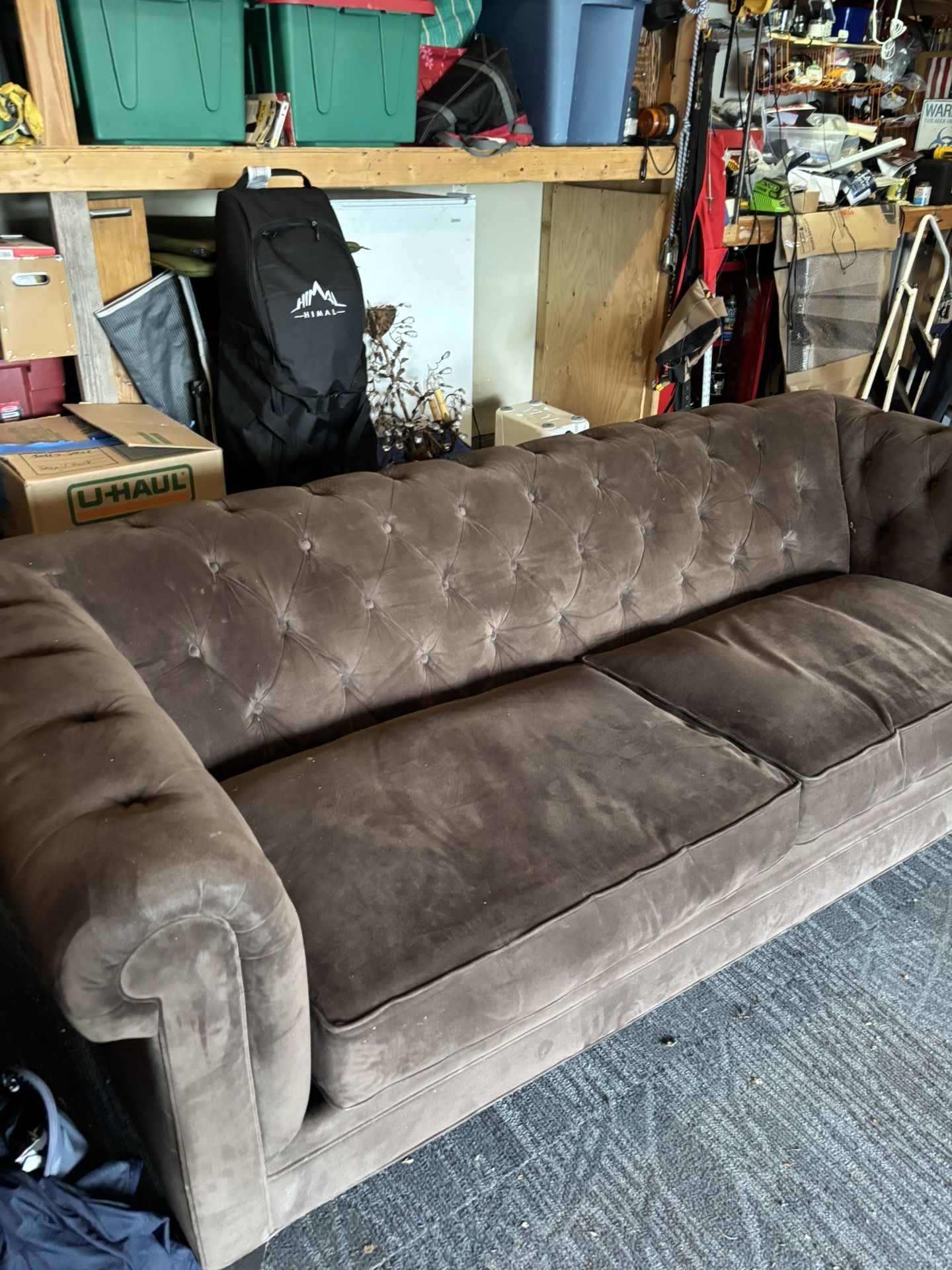 Brown, Martha Stewart Chesterfield Couch