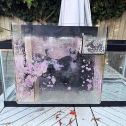 CPR Aquatics Deluxe AquaFuge 2 Hang-on Refugium