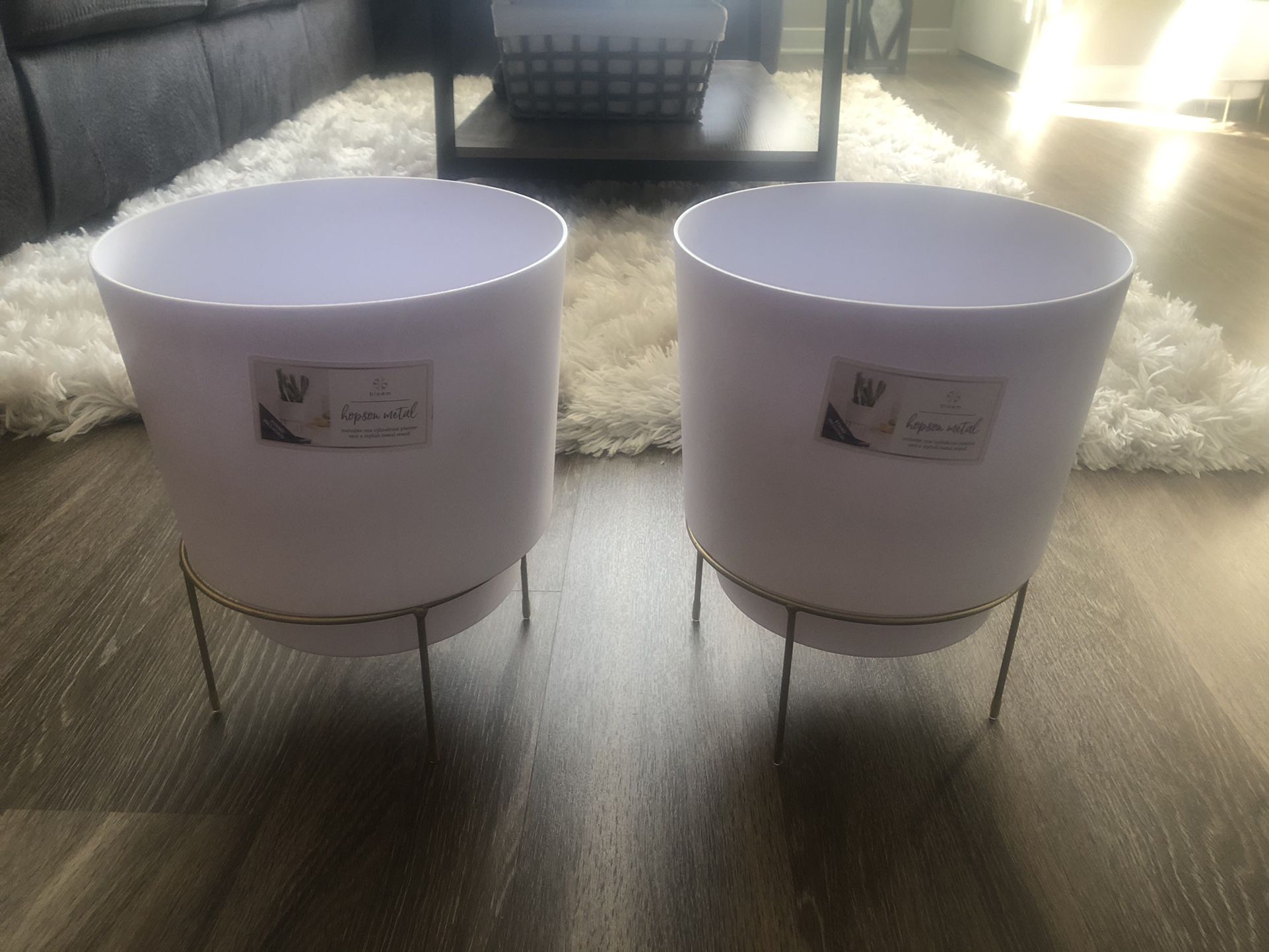 2 White Indoor Plant Pots With Gold Base