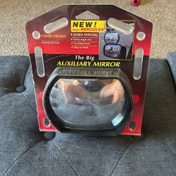 Auxiliary Mirror