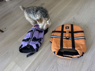Small Dog Water Vest PFD