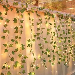 Hanging Vine Lights