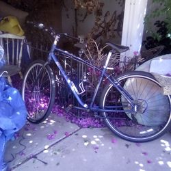 Men's 28'Giant Cypress Road Bike