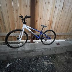 Power Series GT Kids Bike 