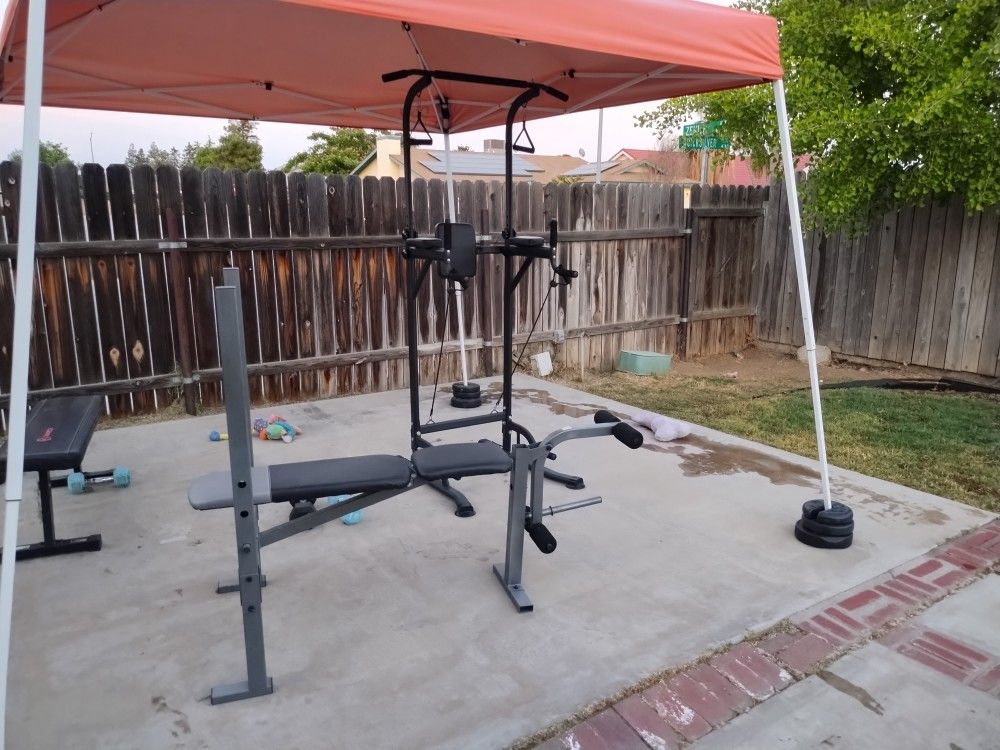 Pull-up Bar & Weight Bench