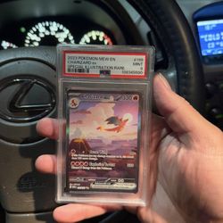 Charizard 151 And Blooming waters