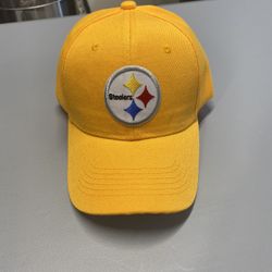 Pittsburgh Steelers Hat