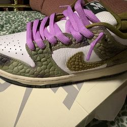 Chameleon Nike Sb Dunks