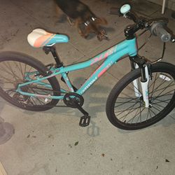 2017 Cannondale
Trail 24 Girl's