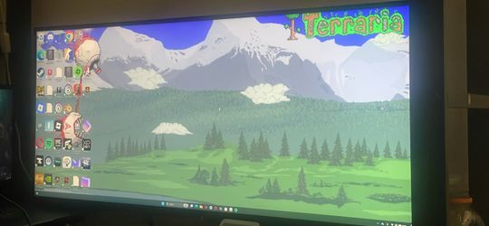 Monitor