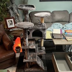Cat Climbing Tower
