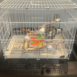 Brand New PH Preview Hendryx Bird Cage 16x20x13