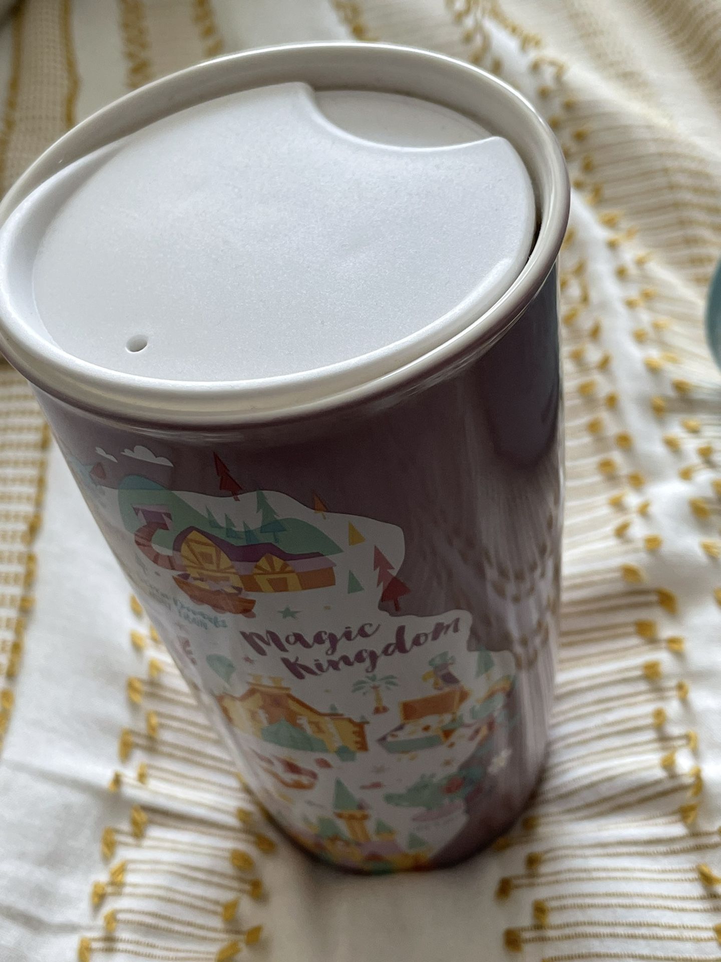 Disney Florida Starbucks Ceramic Mugs