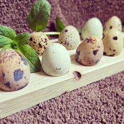 Cortunix Quail Eggs