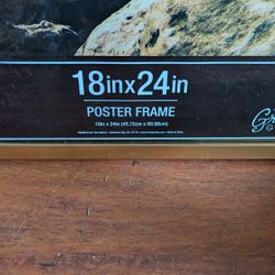 Picture/Poster Frame 