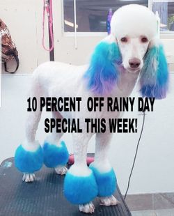 Tuesday through Saturday