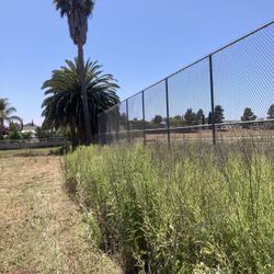 Brush Clearing/weed Abatement 