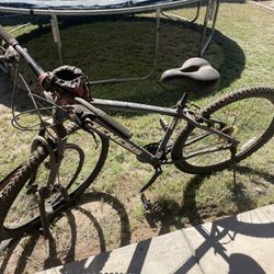 2 Mountain Bikes