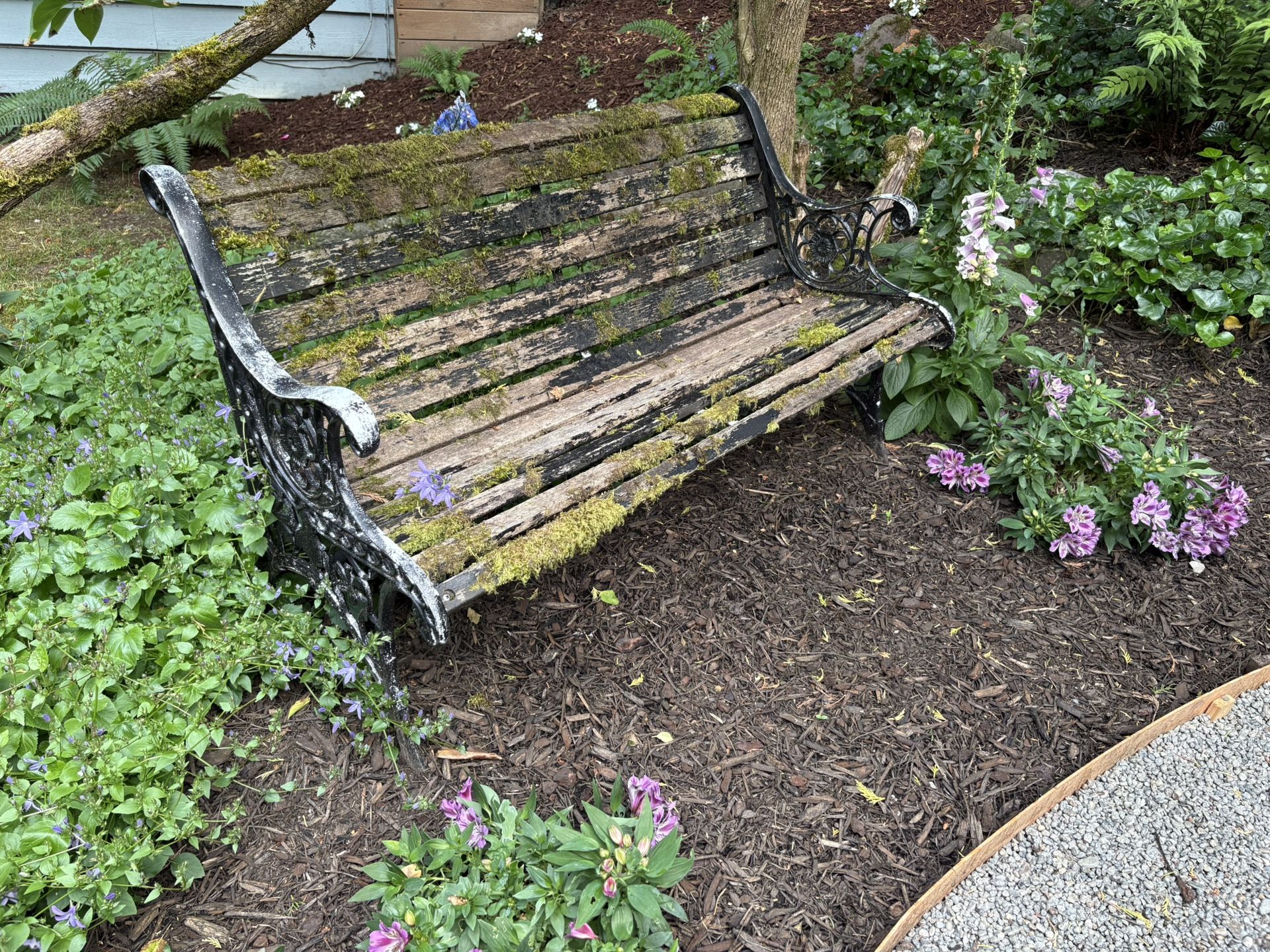 Weathered Outdoor Bench
