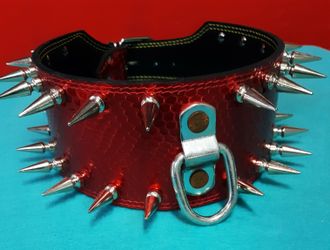 Dog collar