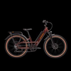 RAD e-Bike- Radster Trail - Off-Road