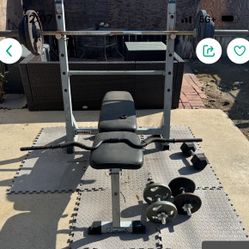 Olympic Weight Bench And Weights With Tree Holder For Weights
