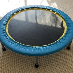Mini Exercise Trampoline Rebounder Stamina Brand  – Great Condition – Indoor Fitness