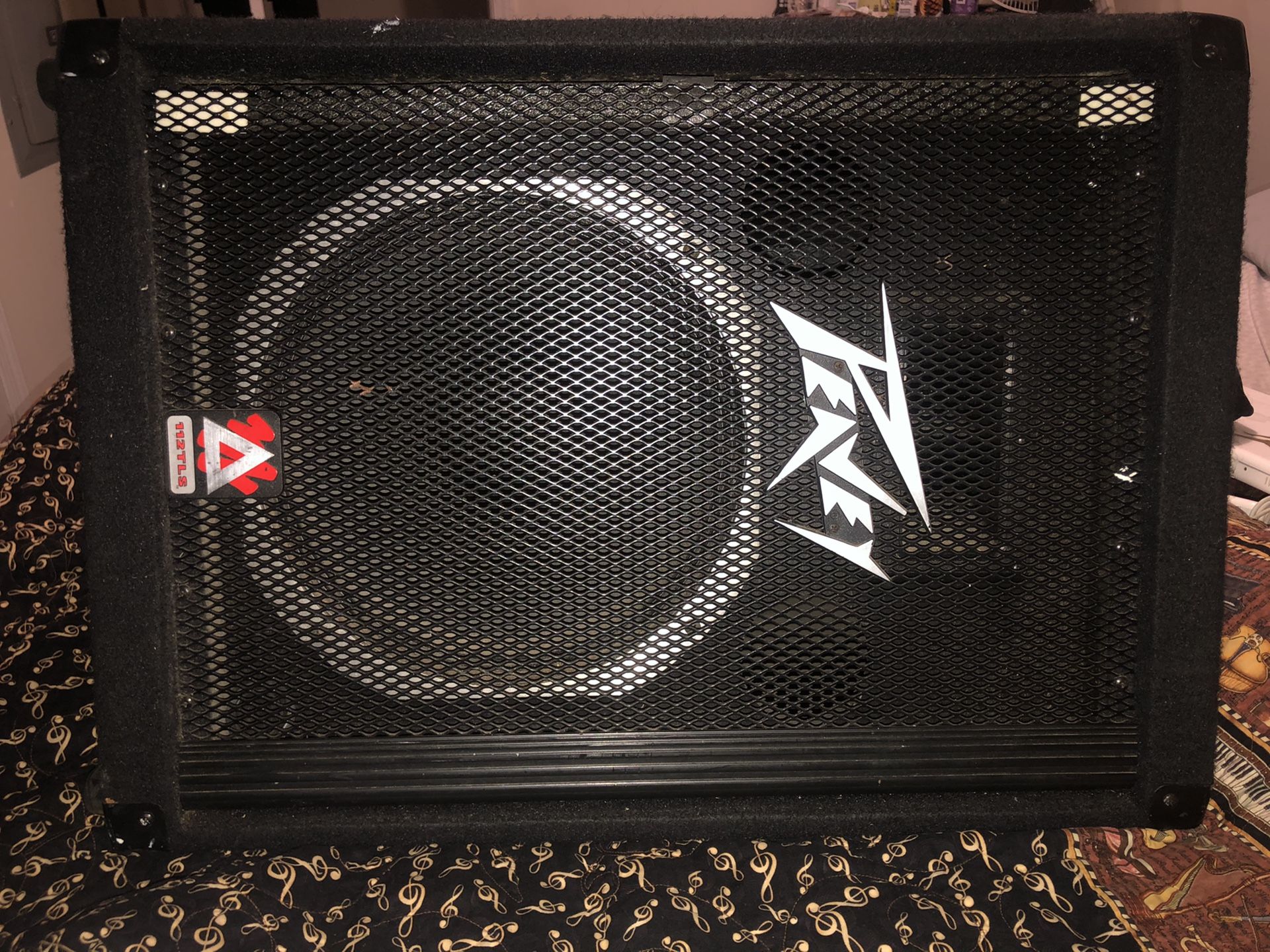 10 in Peavey Speaker