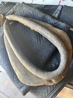 Vintage Leather Horse Collar