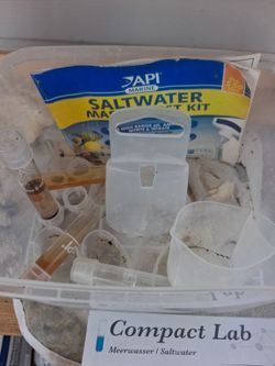 Salt water fish tank with everything