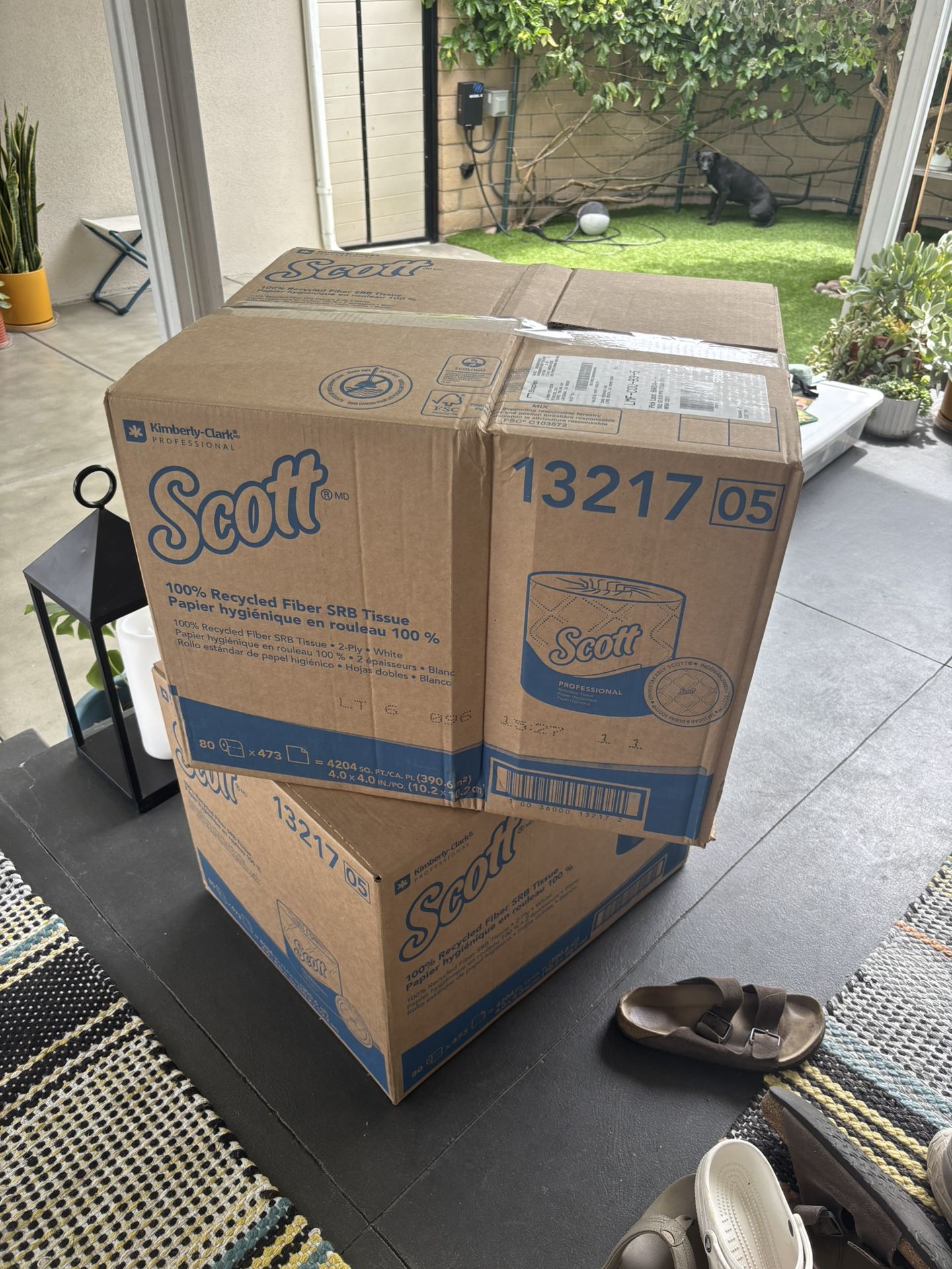Scott Toilet Paper