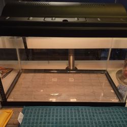 Aquefon 10 Gallon Fish Tank 
