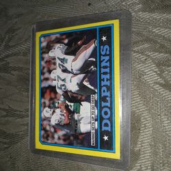 Dolphins Card