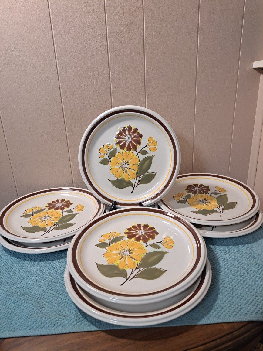 Set Of 5 Deville Capri 300 Dinner Plates Stoneware Japan 10 3/4" Jon Paul