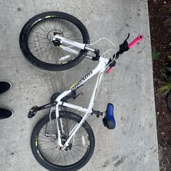 Mountain Bikes 