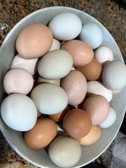 Farm fresh eggs