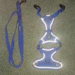 2 Pet Harnesses and 2 6' leashes (Small size)