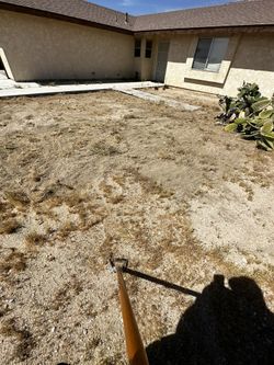 Weed Removal