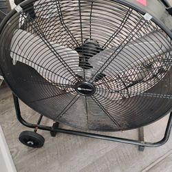 Fan 
