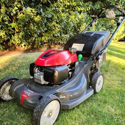 Honda HRX217 Self-Propelled Lawn Mower - $650