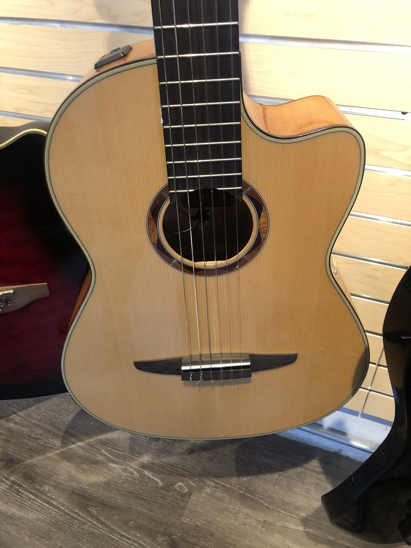 Electric/Acoustic Guitar