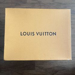 Louis Vuitton shoes