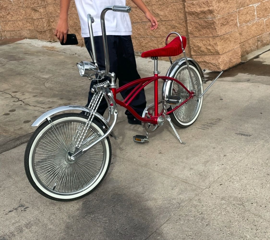 Low rider Bike