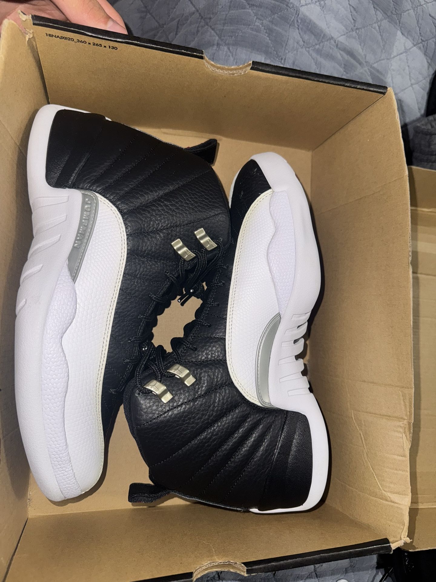Jordan 12
