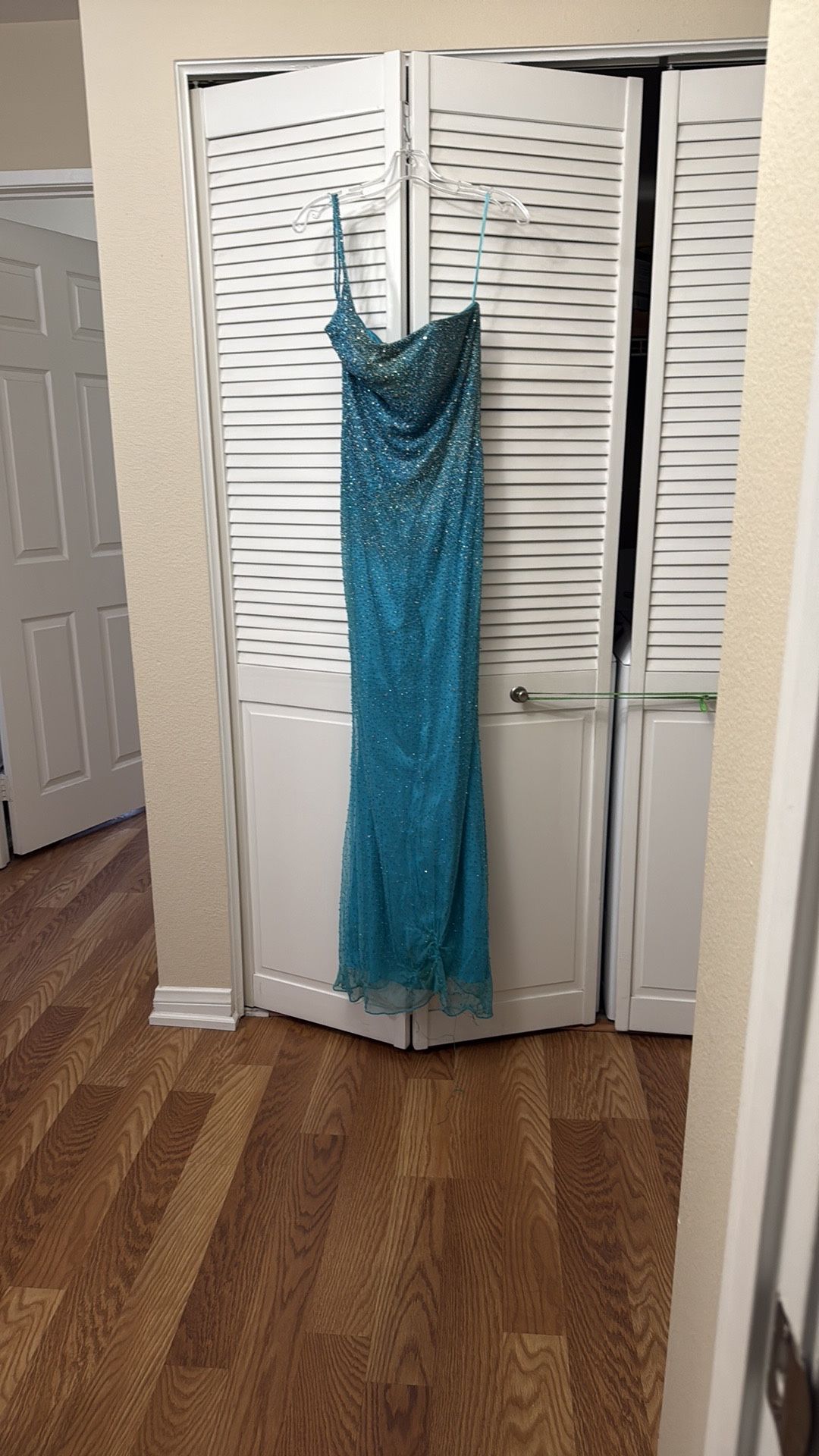 Very Detailed Blue Dress