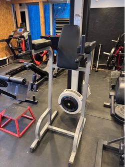 Body Solid Vertical Knee Raise and Dip