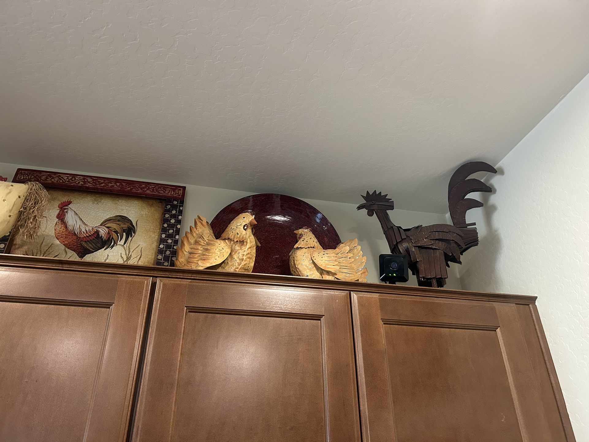 Roosters!!! for Sale in Phoenix, AZ OfferUp