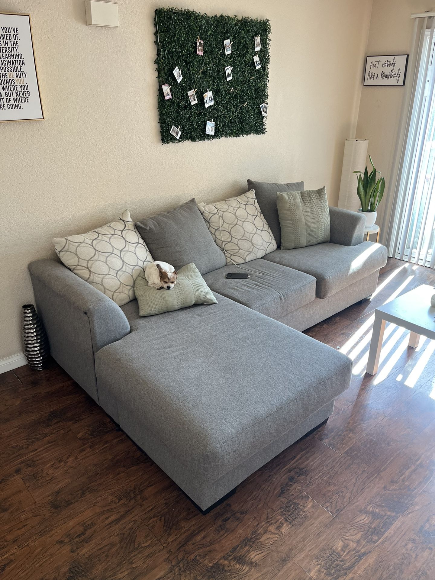 Sectional Couch